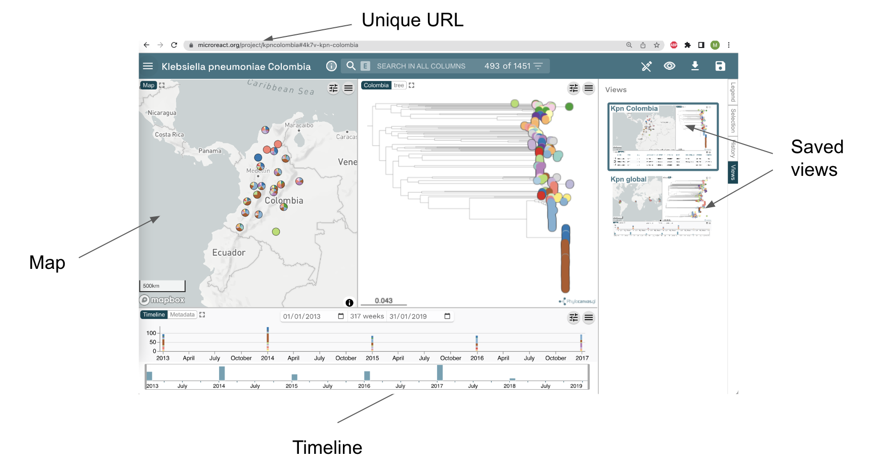 This is a screenshot of a Microreact project called "Klebsiella pneumoniae Colombia". Notice the main panels in this project: the map, the tree, the timeline and the saved views.