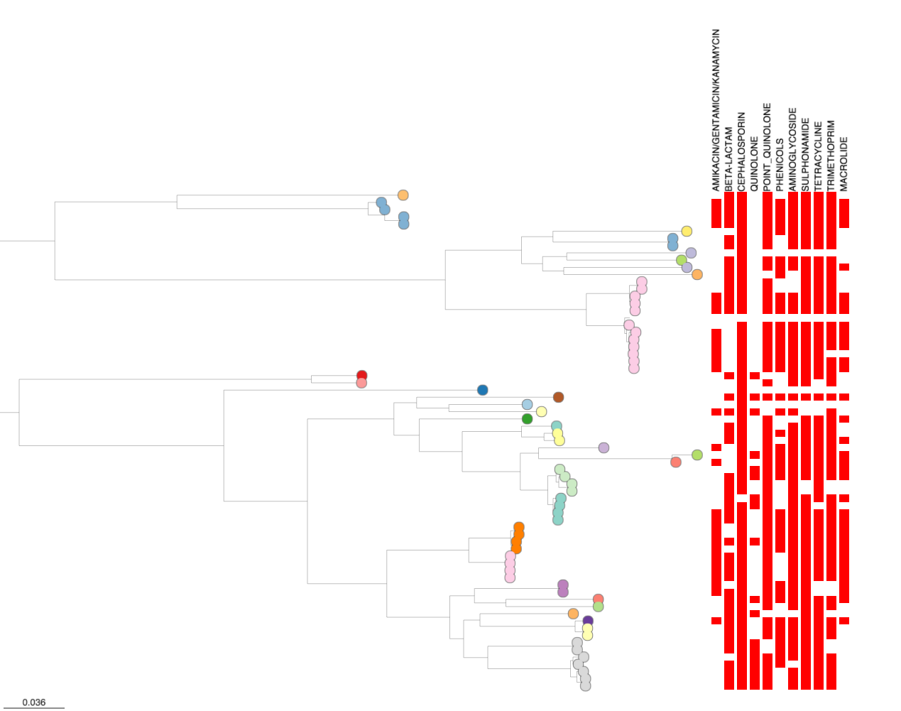 Final output from Microreact