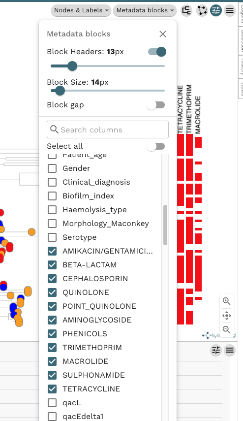 Final output from Microreact